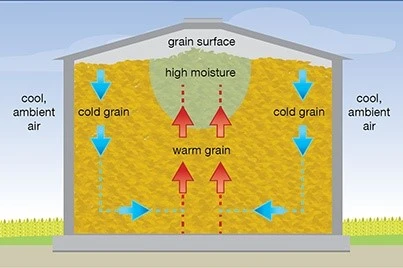 GrainCondensationCause GrainCondensationCause